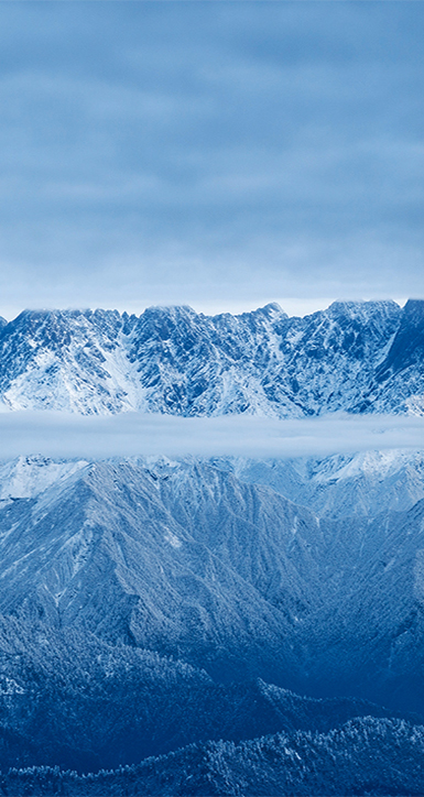 關于尋寶黃金城